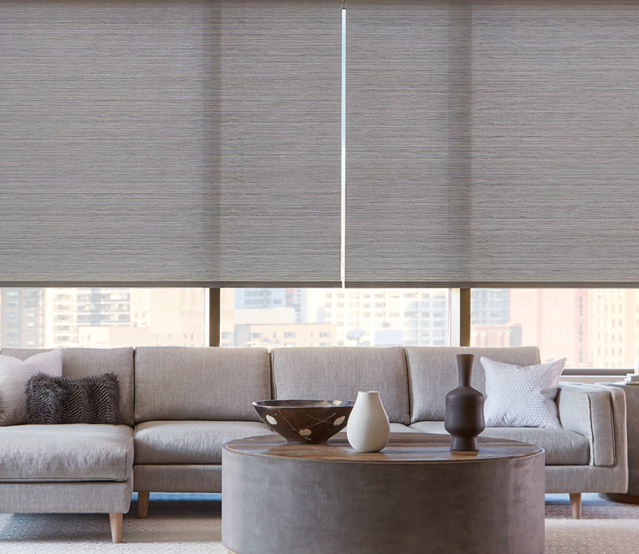 gray roller shades