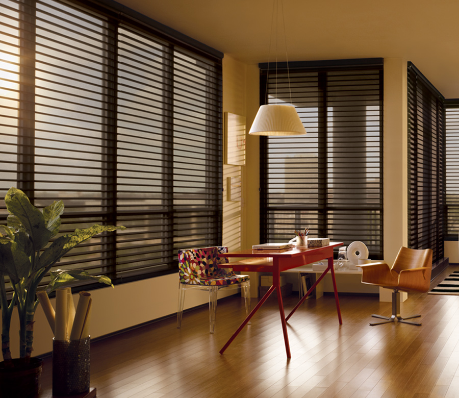 office with hunter douglas black silhouette window shades 34103