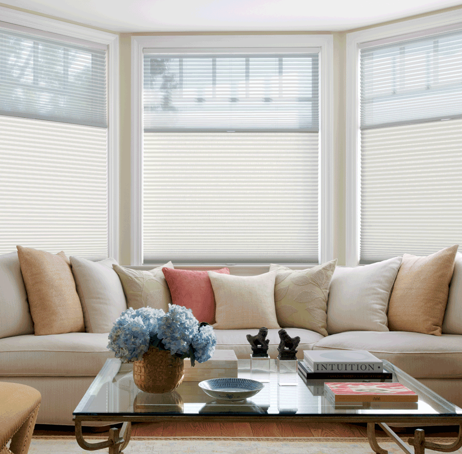 living room shades with duolite Hunter Douglas Fort Myers 33908