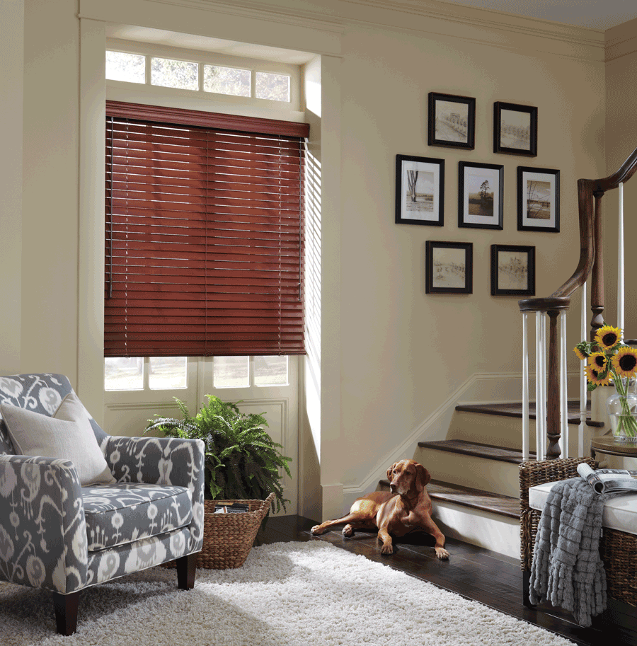 Hunter Douglas blinds safe for dogs and cats Fort Myers 33908