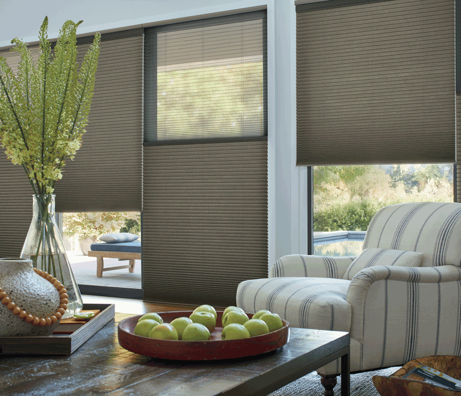 cozy living room with top down bottom up dual shades Hunter Douglas Naples 34119