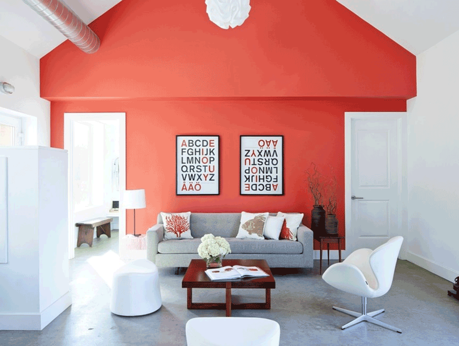 living coral home design accent wall