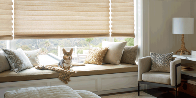 what dog owners understand pet safe blinds Fort Myers 33908