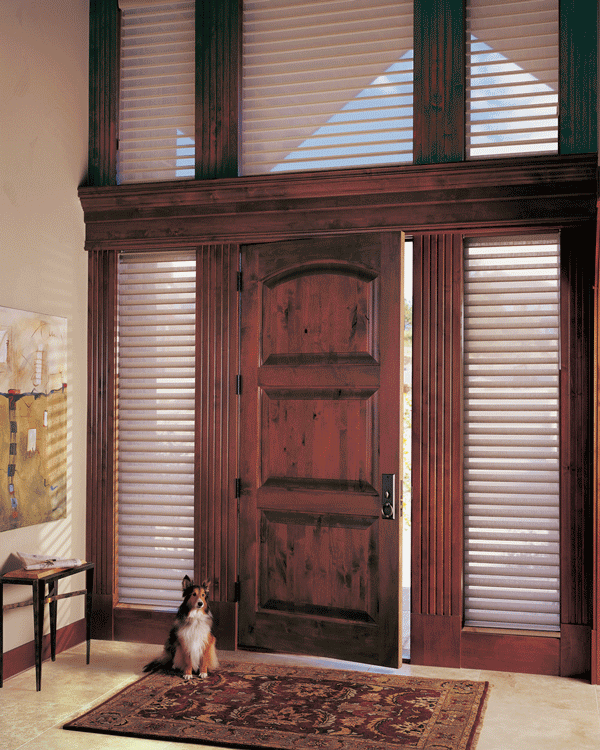 motorized door shades for hard to reach windows in foyer Naples 34119