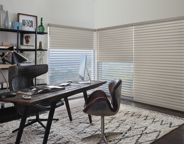 motorized dual shades for perfect home office comfort Fort Myers 33908