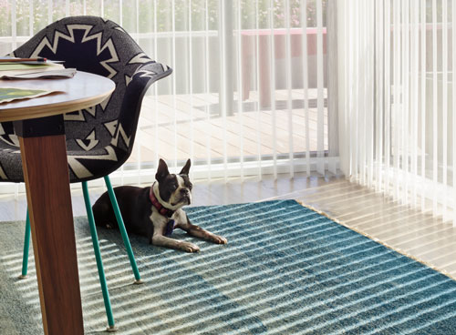 dog resting in natural light from large windows with motorized luminette sheers Naples 34119