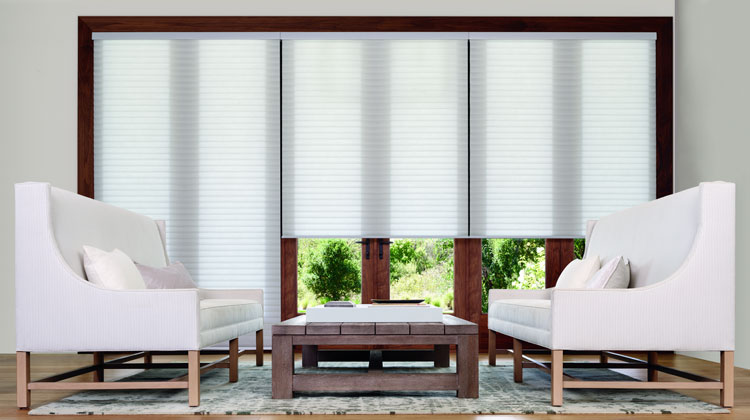 living room design with Hunter Douglas Sonnette Shades Naples 34119