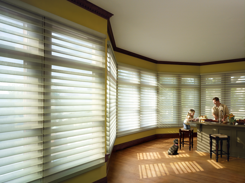 motorized kitchen shades are cordless pet safe blinds Fort Myers 33908