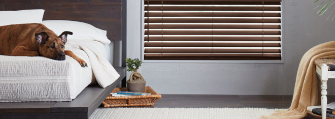 pet safe blinds Fort Myers FL