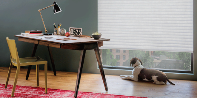 Light control window shades perfect in your home office space.