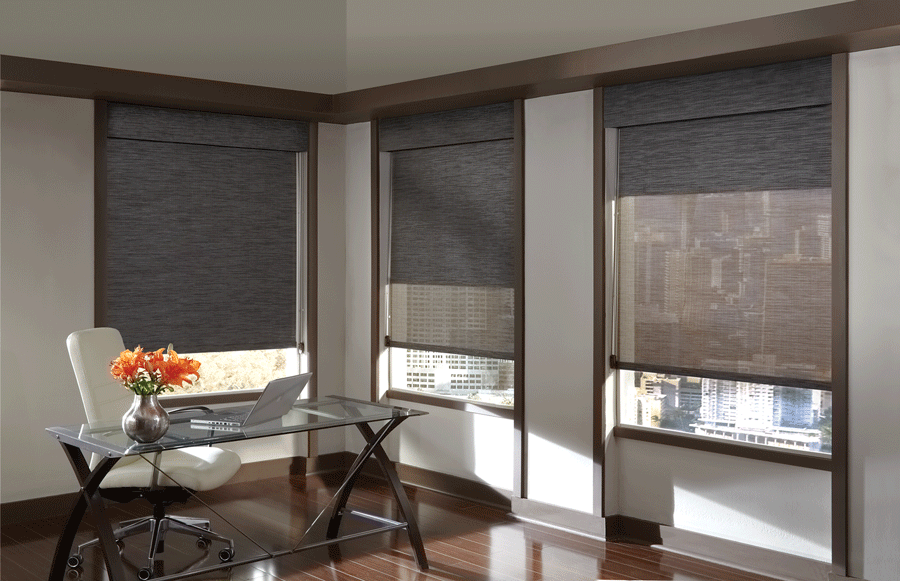 Dual shades offer a lot of functionality all in one system.