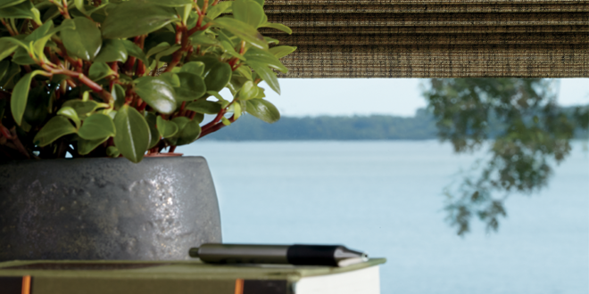 nature to inspire decor in your fort myers home