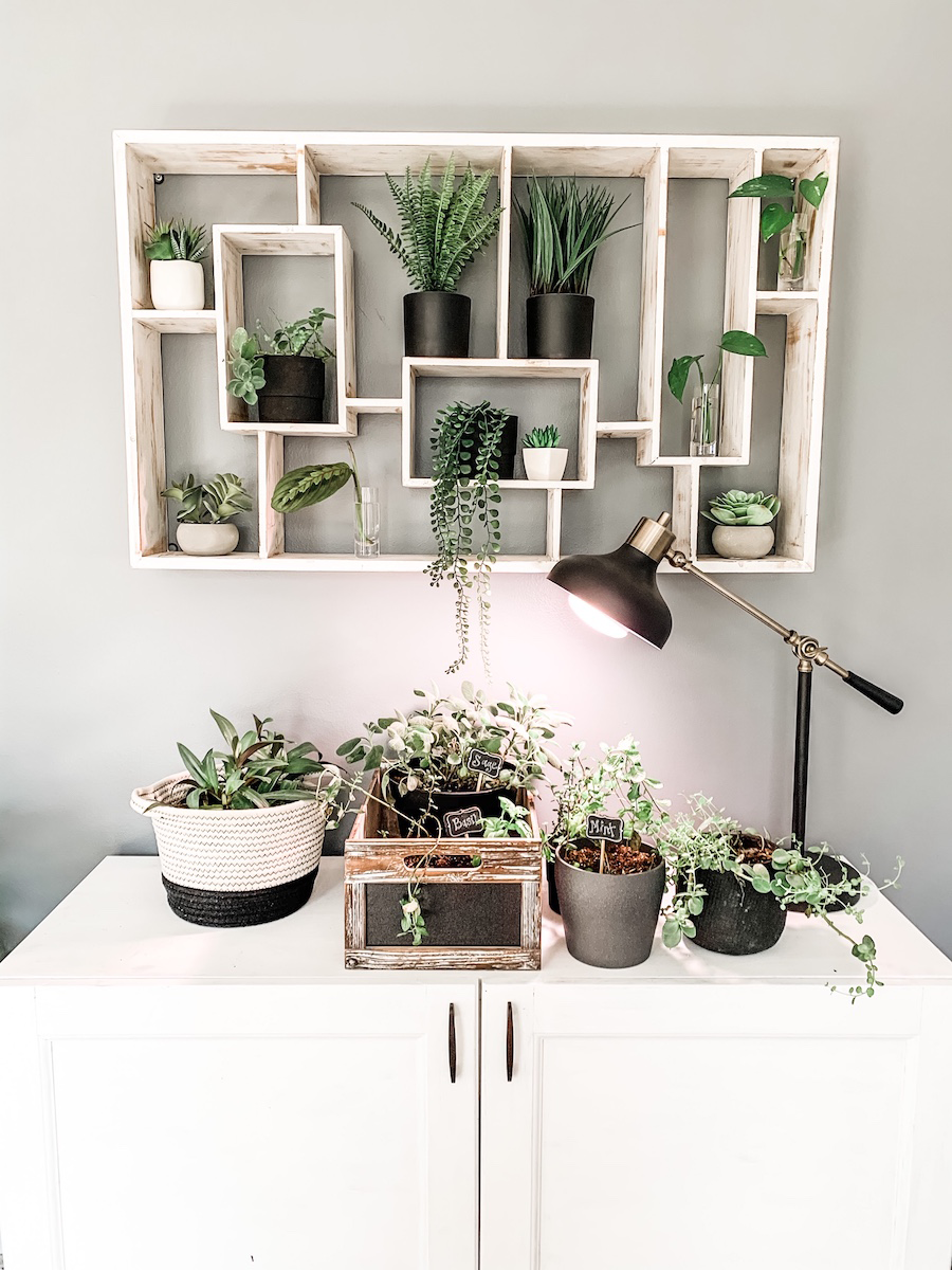 vertical garden with white wall shelves