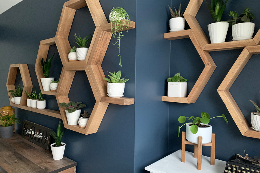 feature wall plants pop of blue