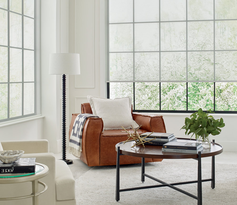 modern roller shades in Naples FL Living Room