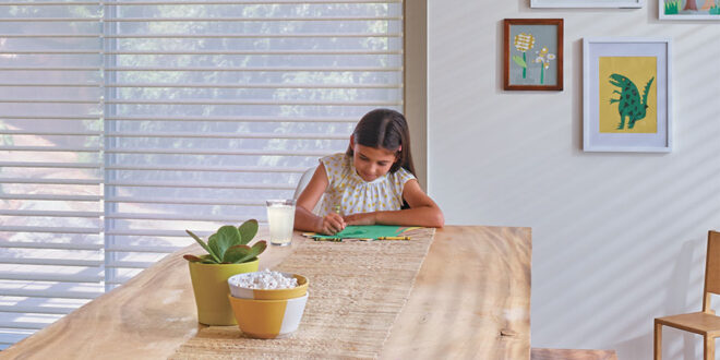 dual shades in kitchen of Naples FL home