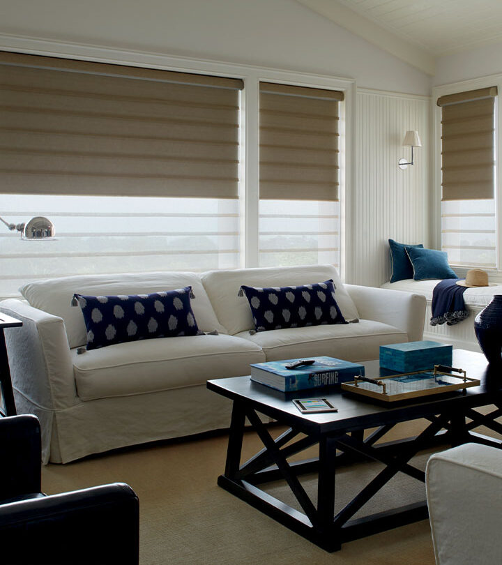 modern roman shades with dual shades for light control