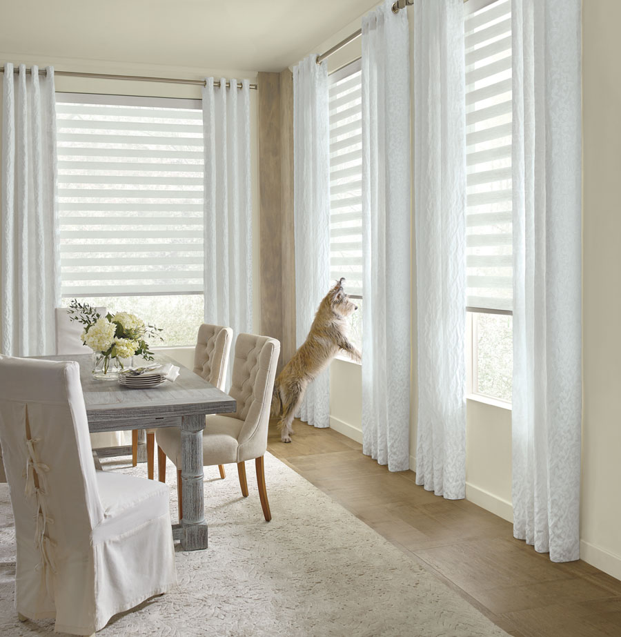 pet on window sill in white dining room in Naples FL