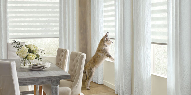 pet friendly window coverings for your home in Fort Myers FL