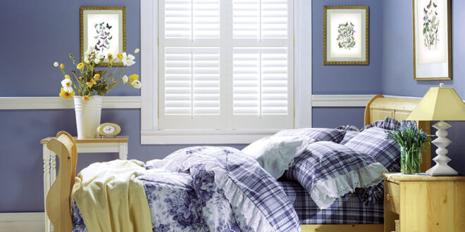 Veri Peri color of the year 2022, Fort Myers, FL