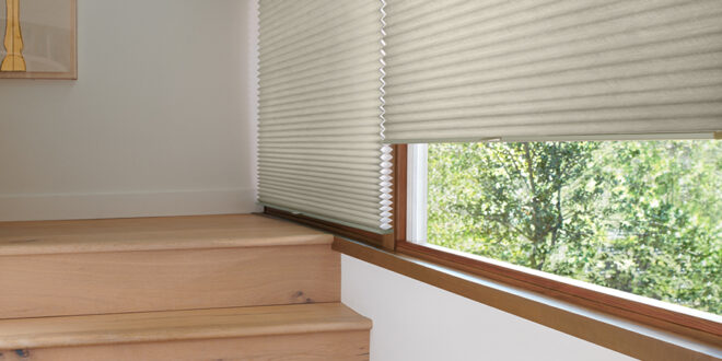 best energy efficient treatments in naples home