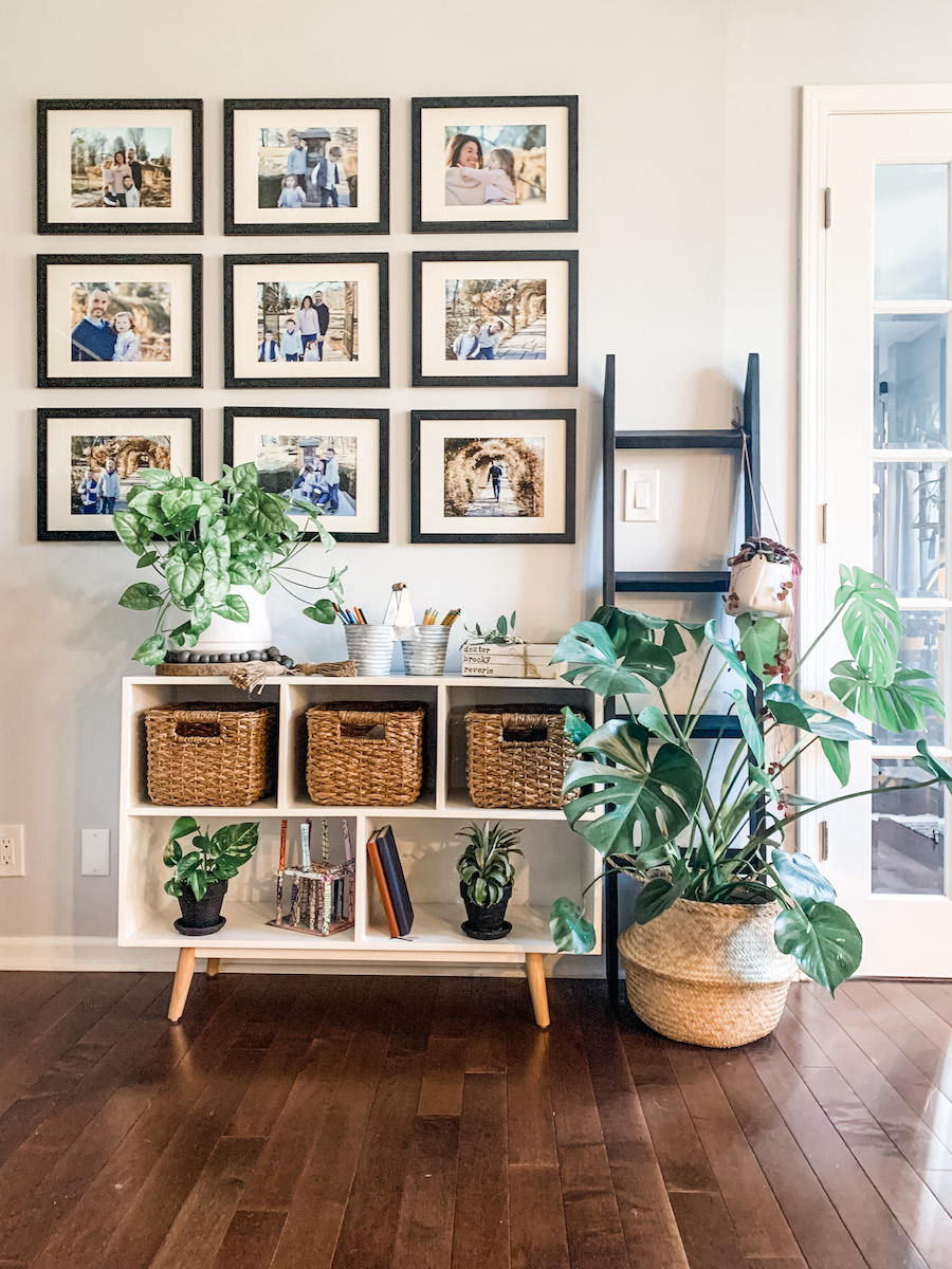 gallery wall with family photos and plants 