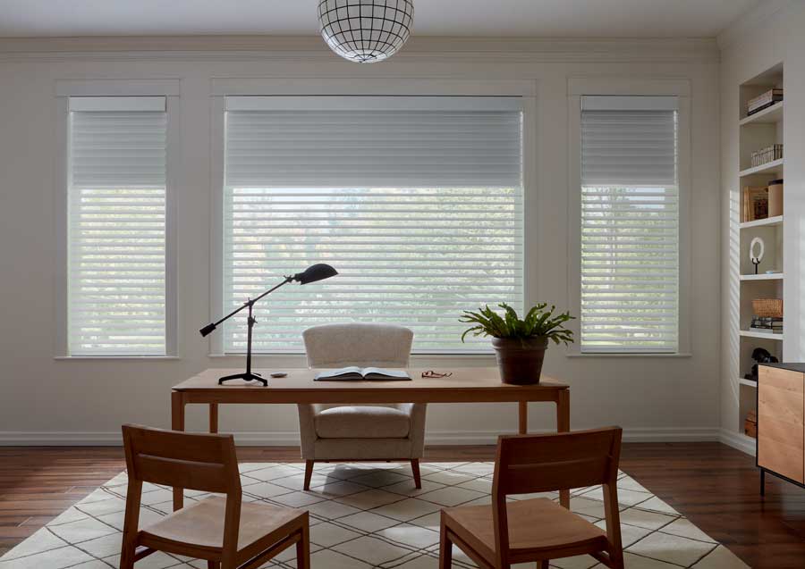 dual sheer shades in an office setting