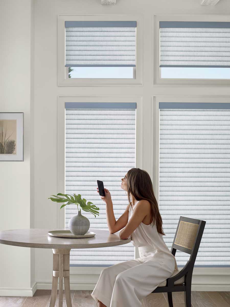 Sonnette cellular roller shades in sitting room