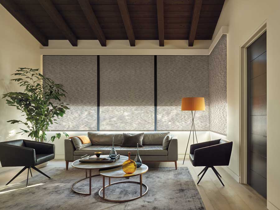 dual roller shades in living room with wooden ceilings in Fort Myers