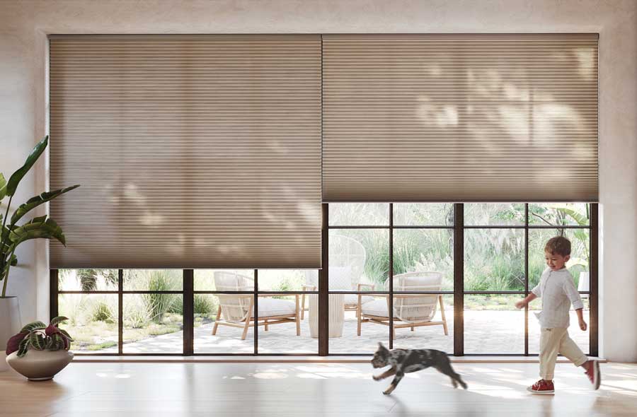 honeycomb shades on black trim windows in Naples FL home