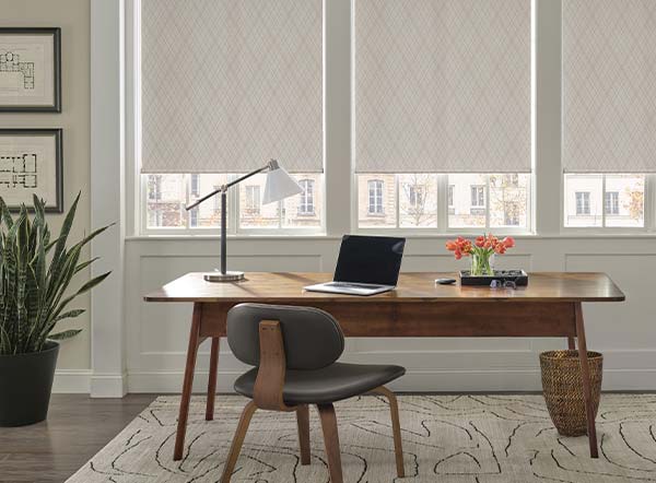 roller-shades-hunter-douglas-at-home-blinds