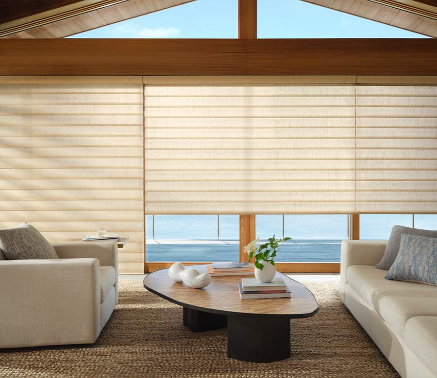 pirouette-window-treatments-contemporary-living-room-hunter-douglas-at-home-blinds-and-decor large khaki beige pirouette shades in living room