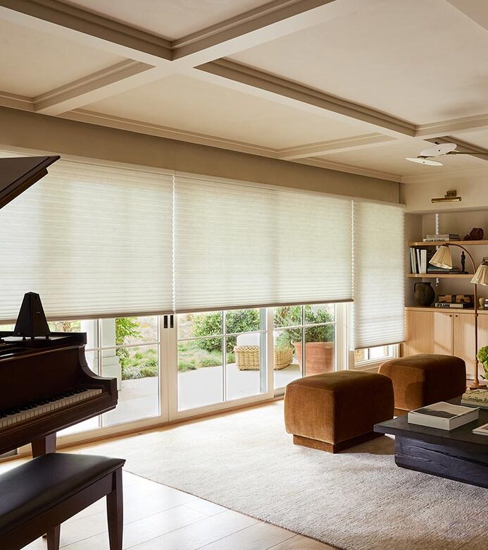 duette honeycomb shade in living room